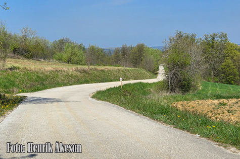 © Henrik Åkeson, Henrikrallyfoto.