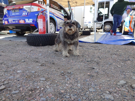 © emotorsport.se
