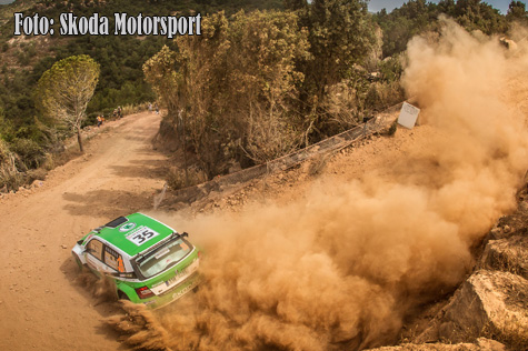 © Skoda Motorsport.