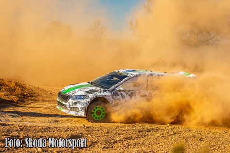 © Skoda Motorsport.