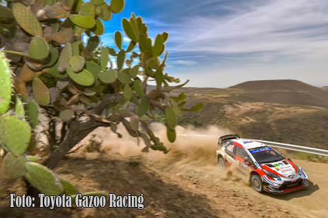 © Toyota Gazoo Racing.